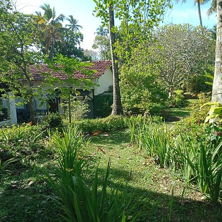 Freedom192 Hotel Weligama Exterior photo