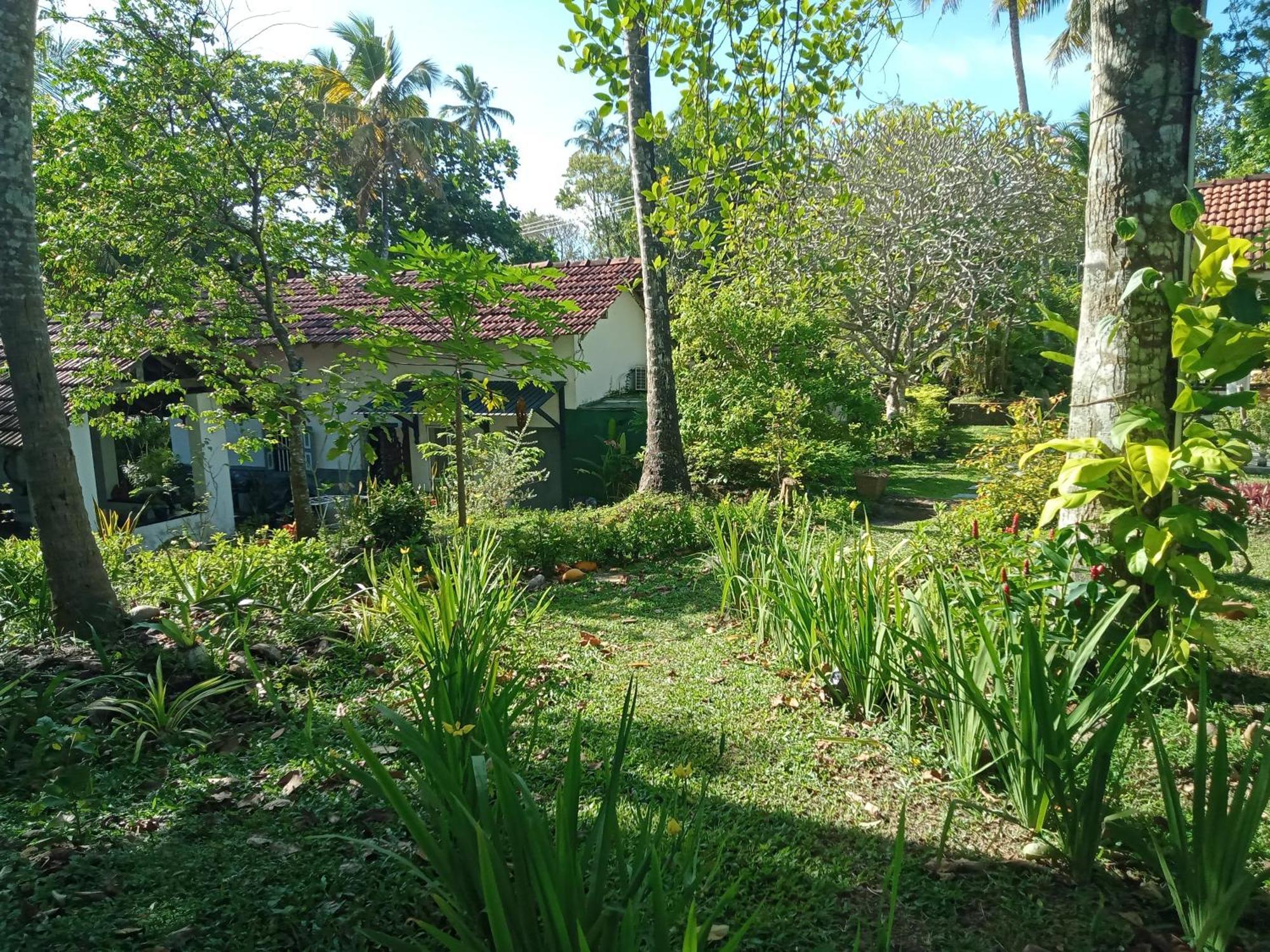 Freedom192 Hotel Weligama Exterior photo
